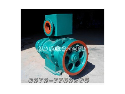 造纸厂\牛皮纸厂专用ZBK-15罗茨真空泵-ZBK-15A罗茨真空泵图3