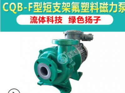 衬氟泵CQB80-65-125FD磁力泵安徽厂家耐腐蚀泵阀基地氟合金磁力泵