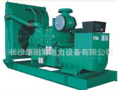 湖南发电机组 50kw柴油发电机图2