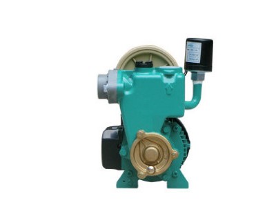 德国威乐水泵 PW-175EAH/177EAH全自动家用自吸增压泵热水器加压图3