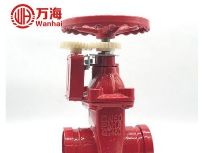 恒达 沟槽信号闸阀 沟槽闸阀 消防闸阀 XZ85X ZSX图2