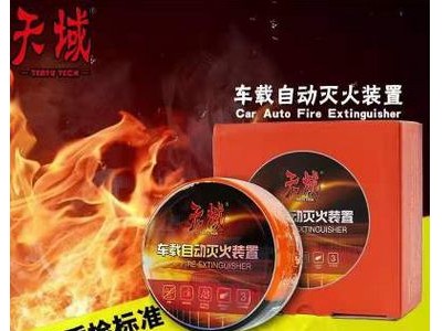 天域自动车载灭火装置，ABC干粉车载灭火器，消防。安装方便有效图2