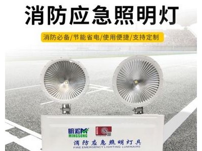 明淞消防应急照明灯led照明灯充电式楼通道双头应急指示灯具批发