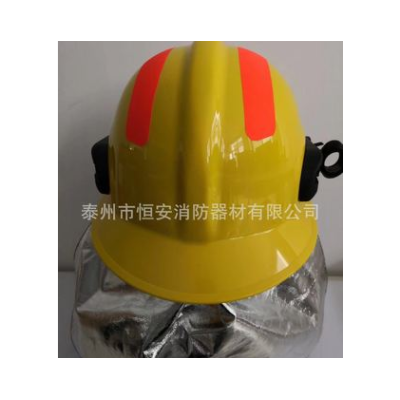 符合GA44-2015标准FTK-BB消防员灭火防护头盔17式统型标准报告3C图3