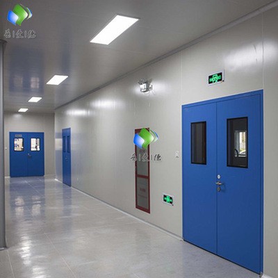 定制防火钢制门 实验室钢制门 喷塑净化钢制门手术室门 多规格图4