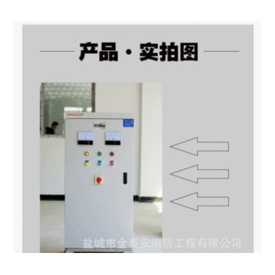 双电源切换配电箱 消防风机水泵控制箱 380V220v电机正反转控制箱图2