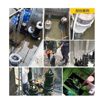 上海越浪供应大型潜水排污泵无堵塞污水泵搅匀切割污水泵厂家直供图2