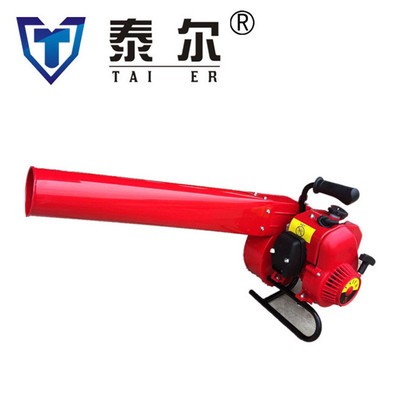 54型手提式风力灭火机马路吹灰机 6MF-32便携式灭火厂家 吹雪机图4