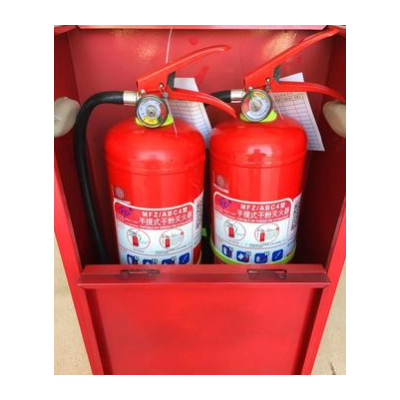 现货批发 MFZ 手提式4kg干粉灭火器新国标消防检查家用车载灭火器图5