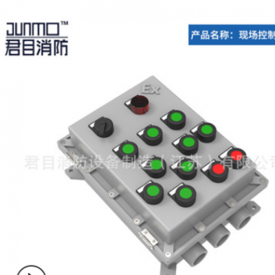 消防灭火水炮 PSKD60EX 固定式电控消防炮（隔爆型）消防设备厂家图3