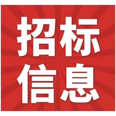 消防检测 国家税务总局河源市税务局后勤管理服务项目（GPCGD21C500FG091F）公开招标公告图4