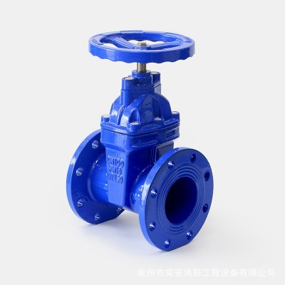 厂家供应DN40-300法兰闸阀软密封暗杆闸阀消防铸铁手动阀门化工图2